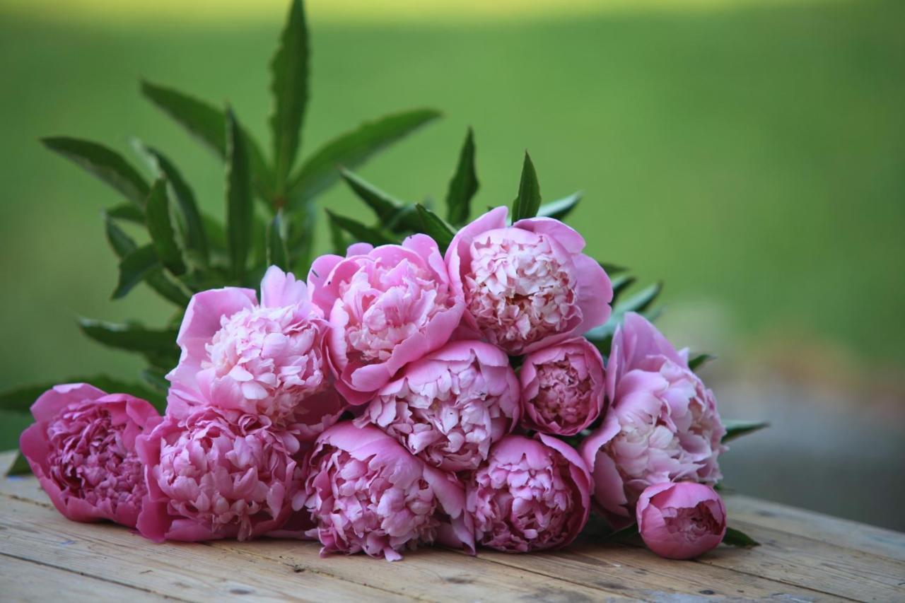 Fleurs De Brenne Appartement *